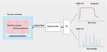 figure 1. OES Endpoint set-up