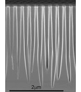 InP Photonic Crystal