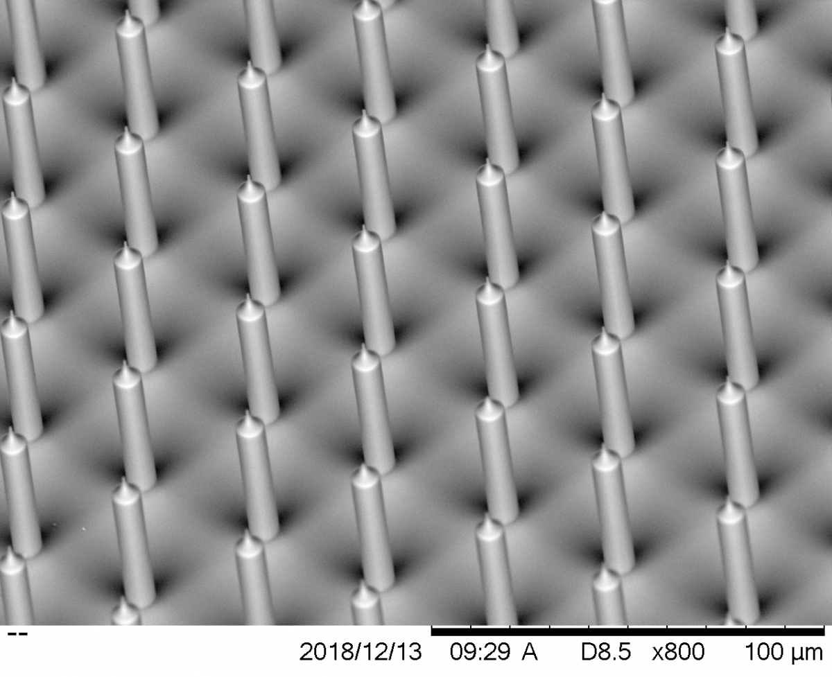 porous silicon nanoneedles