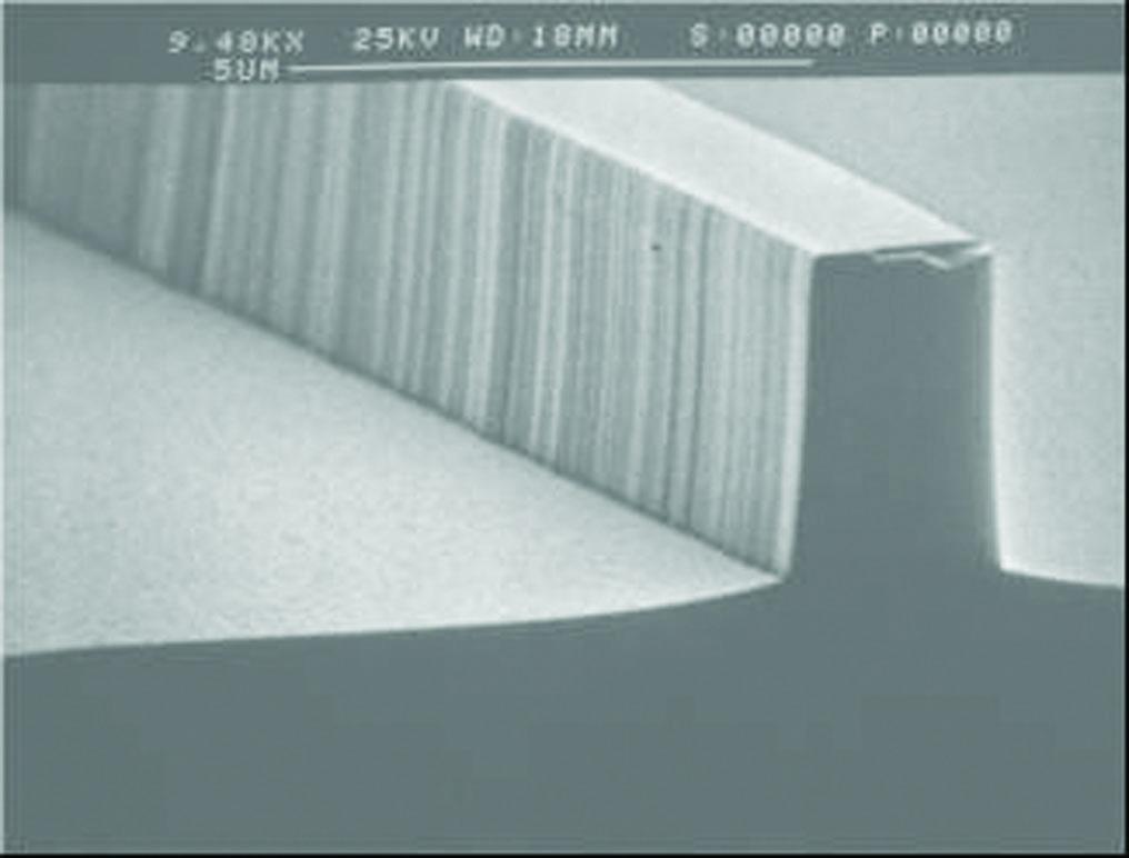 RIE of InP waveguide