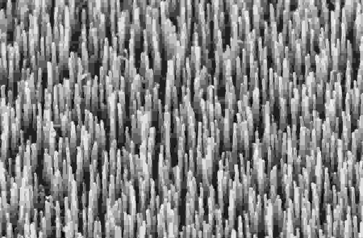 CVD growth of ZnO nanowires using DEZn precursors
