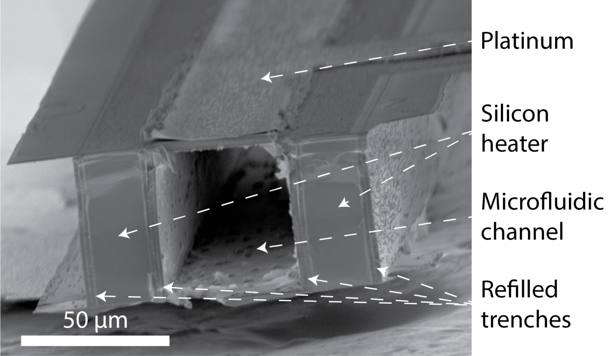 SEM of Cleaved Microfluidic Device