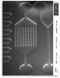 Biomedical microfluidic filter SEM silicon etch