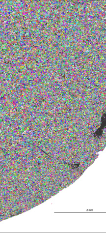 Fig. 1: Montaged map of grain structure and Fig. 2: Montaged orientation map of the steel wire quarter cross-section