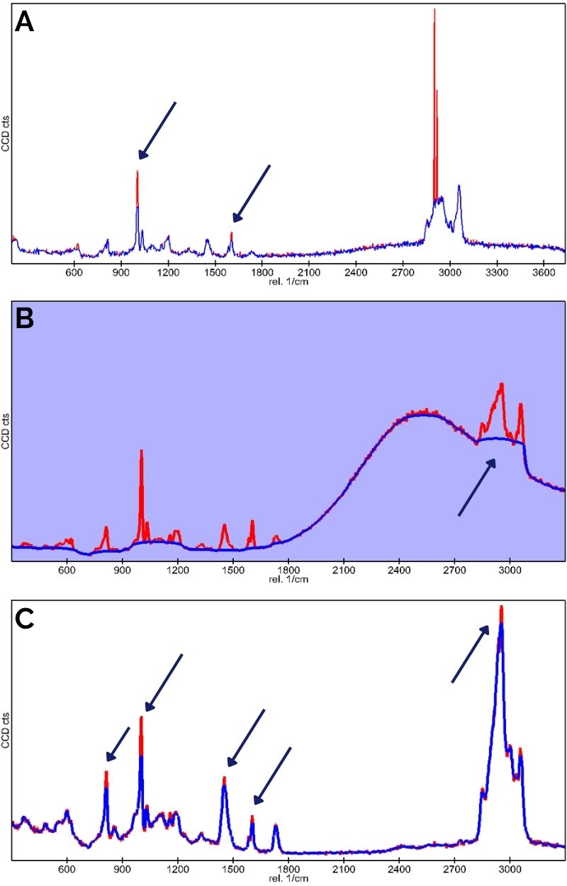 Examples of excessive polymer Raman spectra processing (cosmic ray removal, background subtraction, and smoothing)